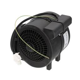 assembly, motor