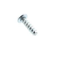 Refrigerator Chrome Plated Screw