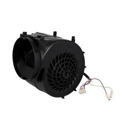 SATZ,MOTOR,VER 2024