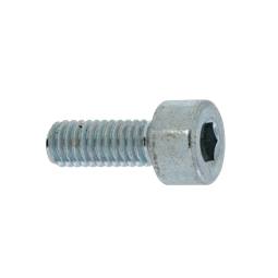 fixing screw, injector, holder,