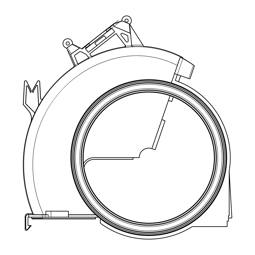tapa, caracol, posterior