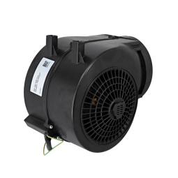 assembly, motor
