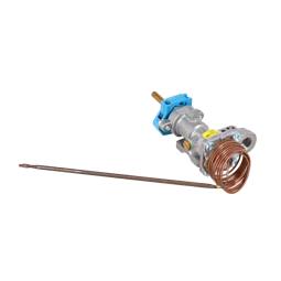 thermostat,main oven,LPG,&switch