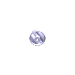 bouton, noir,