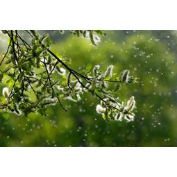 PureA9 BREATHE360 Pollen Protect filter 400 CADR