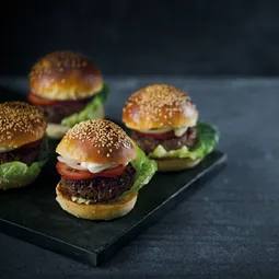 ABP01 BURGER PRESS