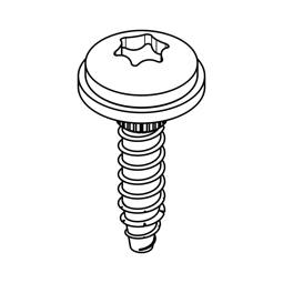 bolt, 2,9x13mm T10