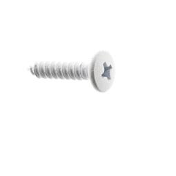 screw, white