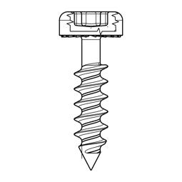 SCREW