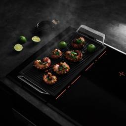 Plancha Grill