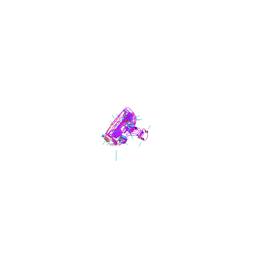 nozzle, complete, red