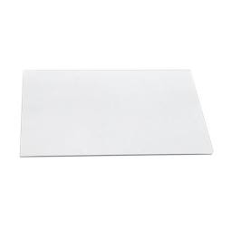 Door Glass - 528.7X401.5mm