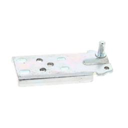hinge, lower