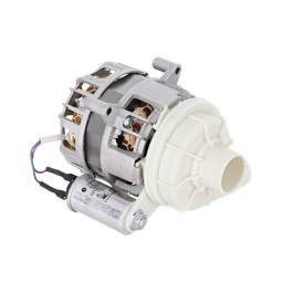Pump, motor, duospeed